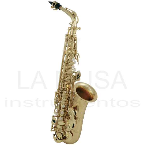 ROY BENSON AS-302 alto sax